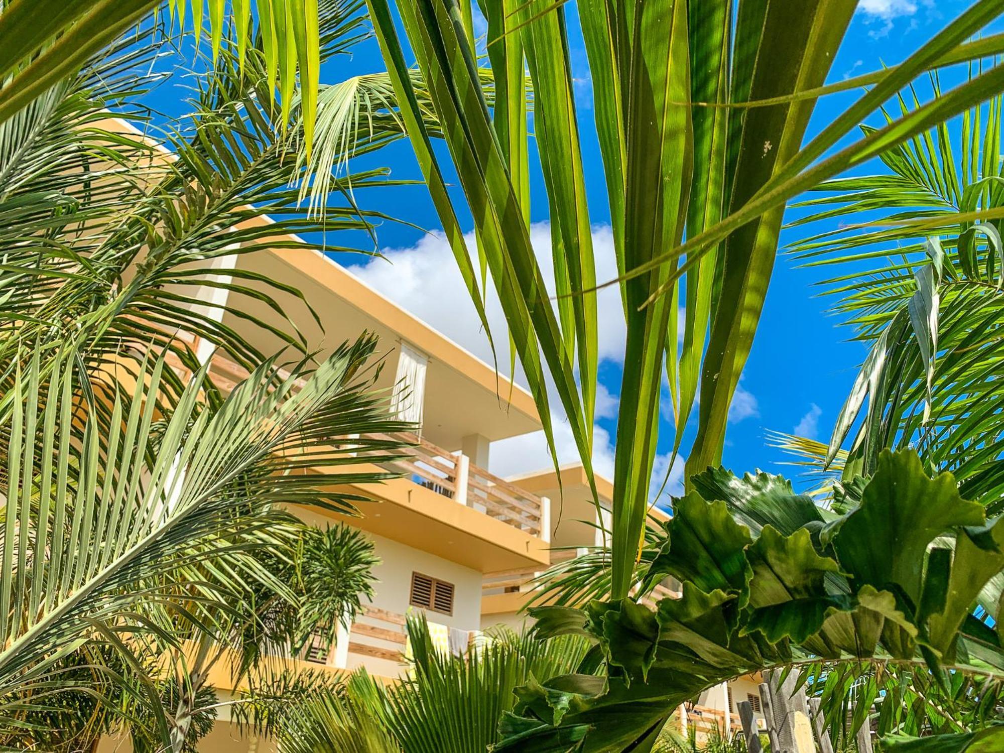 Isla Penthouse & Garden Apartments Bonaire كراليندايك المظهر الخارجي الصورة